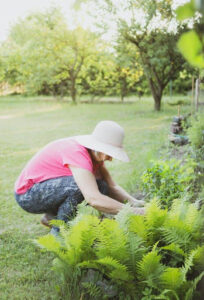 Deze klusjes in de tuin kunt u gemakkelijk nog zelf doen