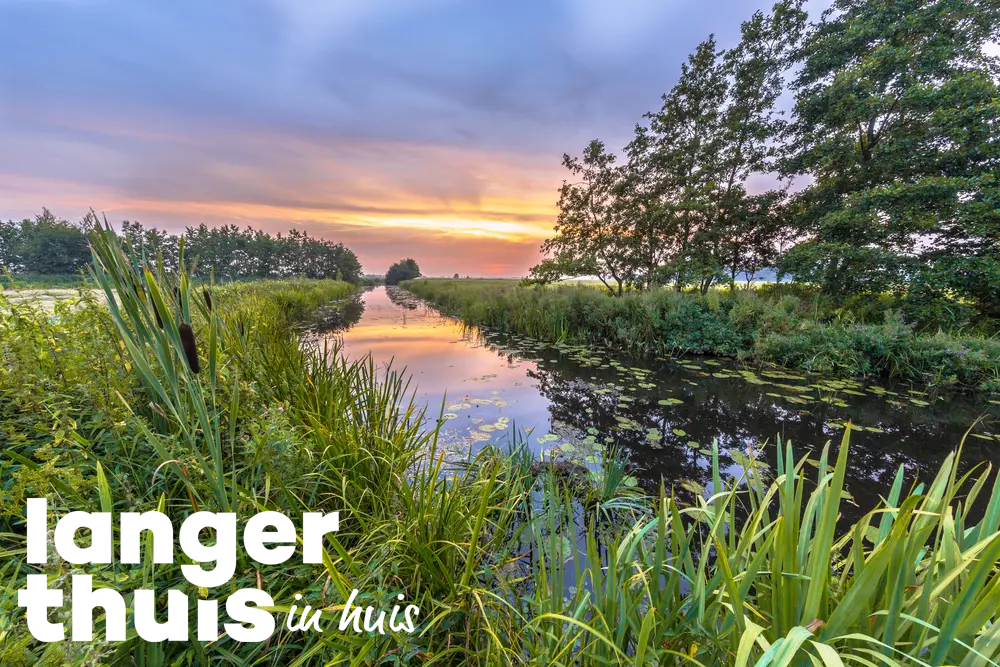 Bloeizone natuur friesland