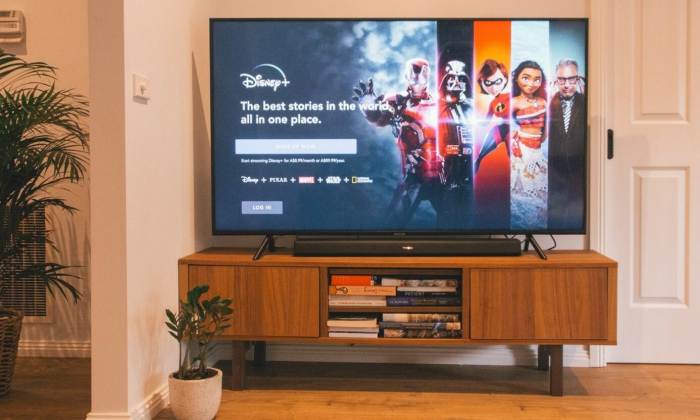 De verschillen tussen de streamingsdiensten Netflix, Videoland, NLZIET en Disney+