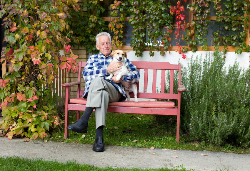 Onderzoek: huisdier vermindert eenzaamheid en klachten bij ouderen