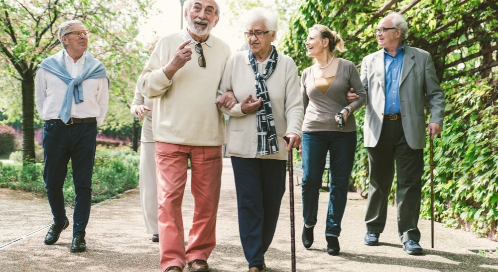 De beste wandelstok kopen: waar moet u op letten?