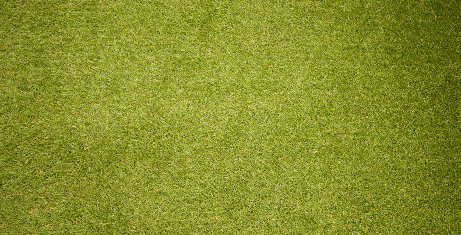 Belangrijkste voordelen en toepassingen van kunstgras
