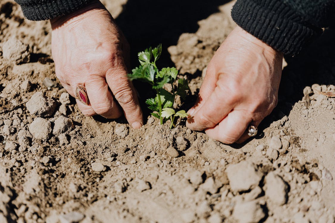 Veilig aan de slag in de tuin, waar moet je aan denken?