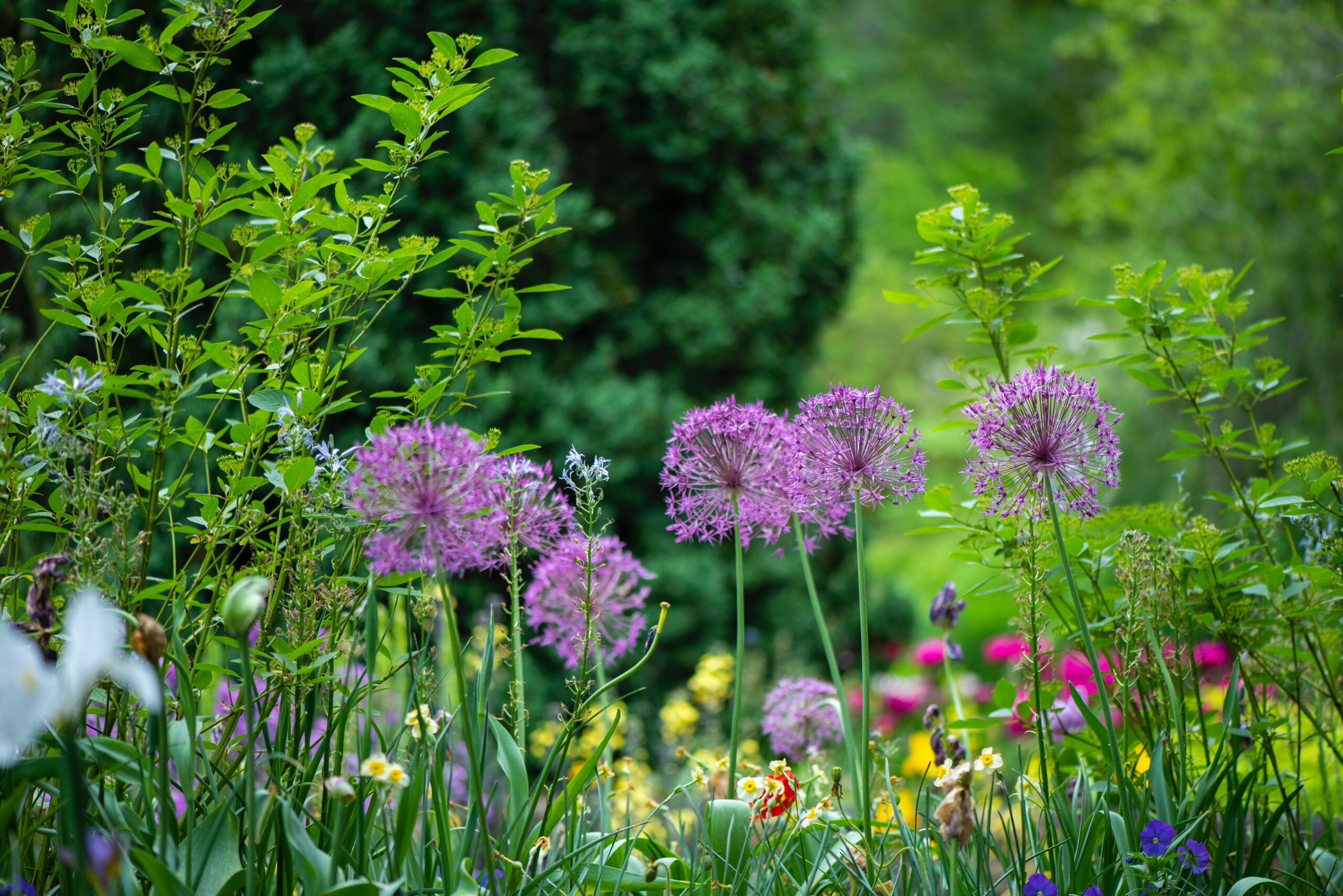 Deze klusjes in de tuin kunt u gemakkelijk nog zelf doen