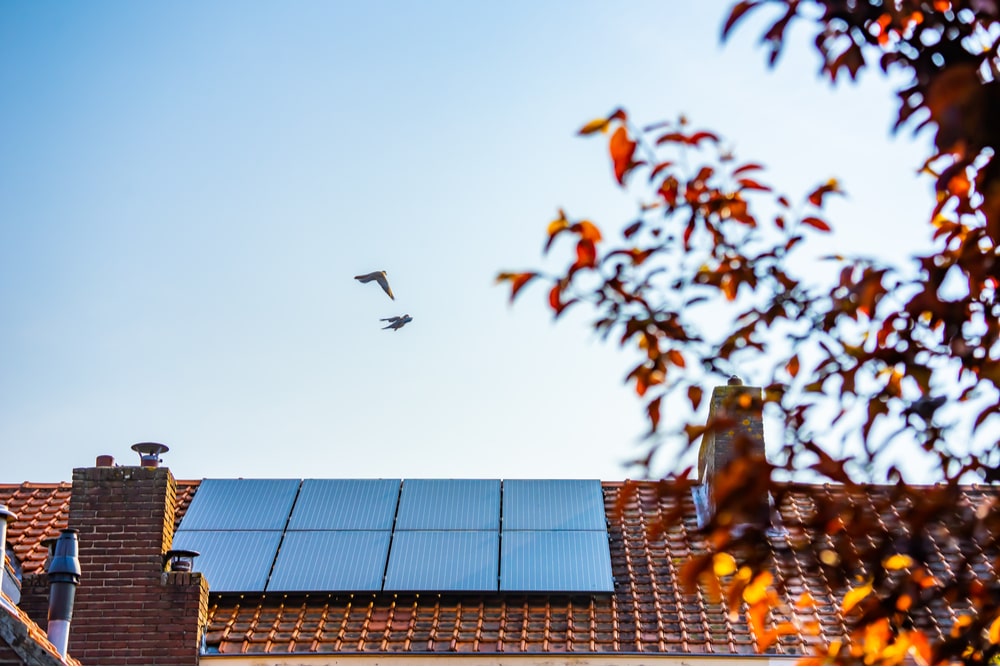 Op zoek naar de beste zonnepanelen? Lees onze keuzehulp