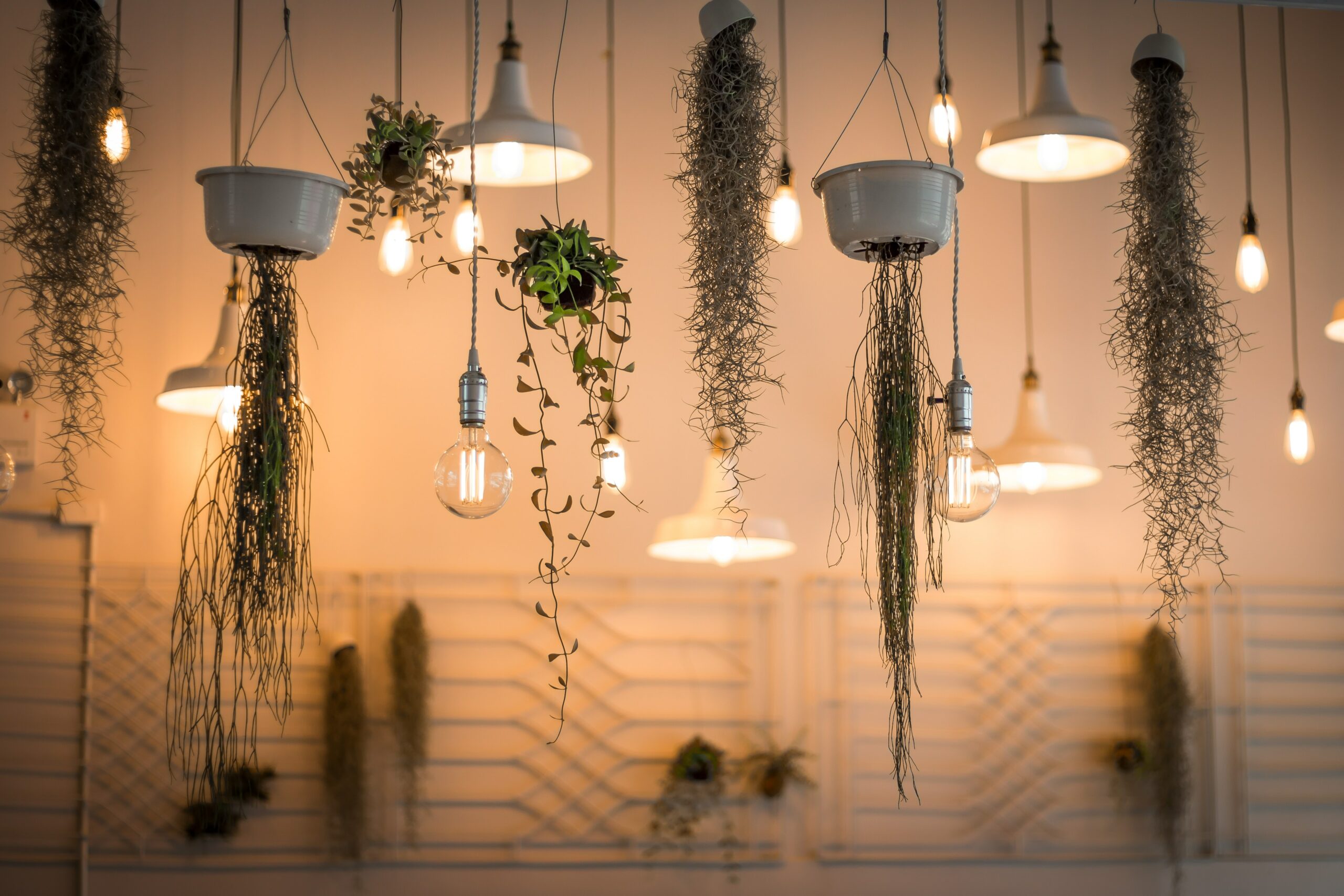 Waar moet ik op letten bij de aanschaf van led buitenverlichting?
