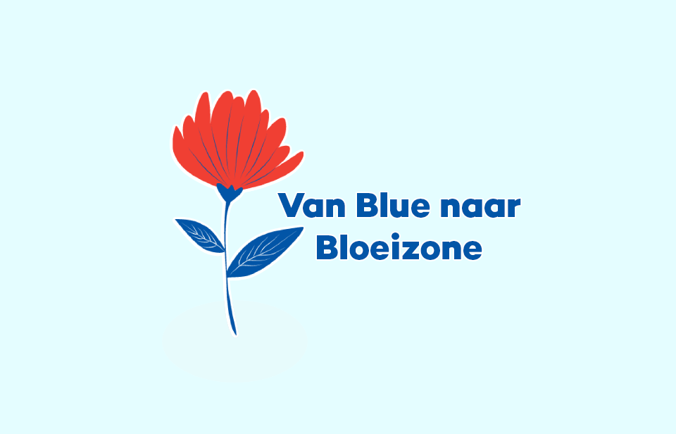 Van Blue naar Bloeizone: de Friese vertaling